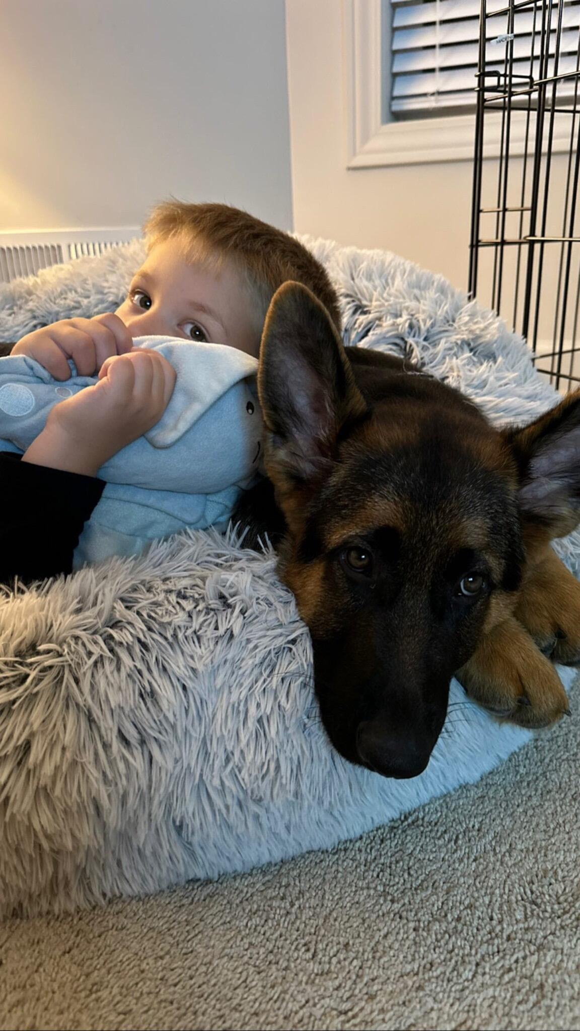 We adopt our puppy Chase! 