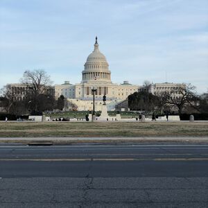 Gallery Photo 16
