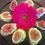Jasmine Catering - Footer