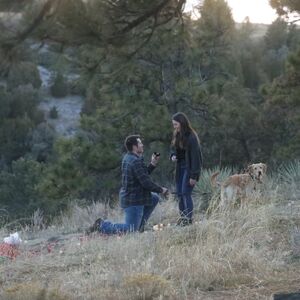 Gallery Photo 15