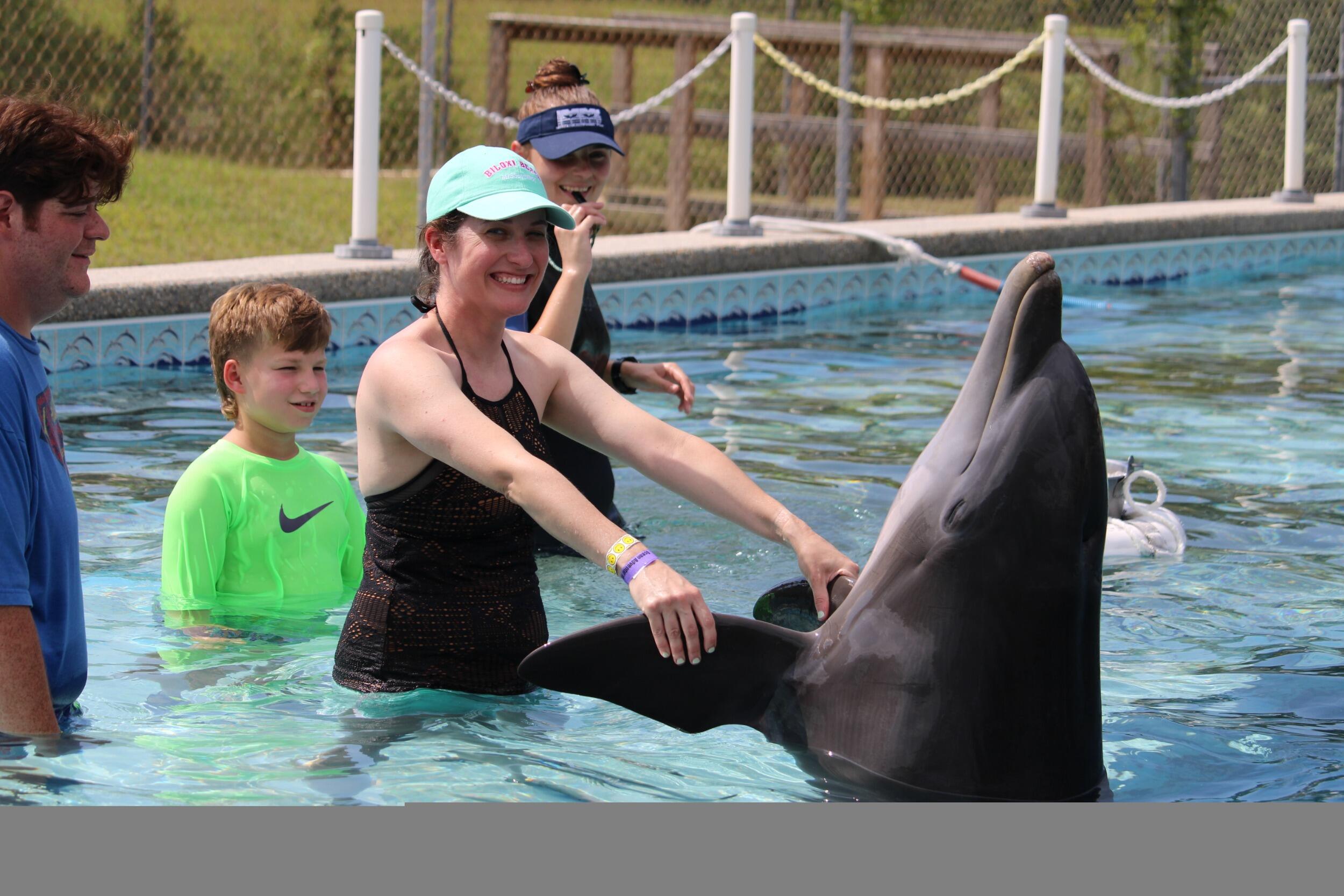 Dolphin Swim