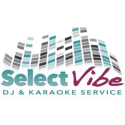 Select Vibe DJ & Karaoke Service, profile image