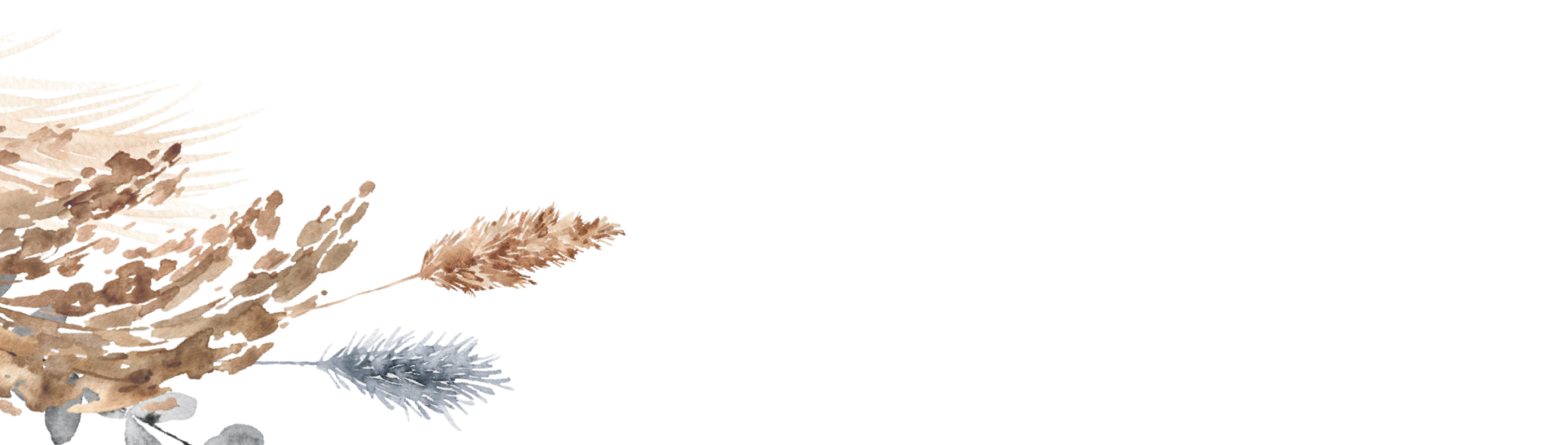 Bottom Theme Image