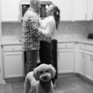 Gallery Photo 5