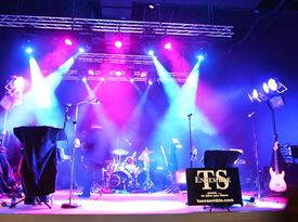 The TSE Band - New York's Premier Wedding Band - Cover Band - Slingerlands, NY - Hero Gallery 3