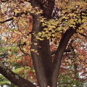 Gallery Photo 10