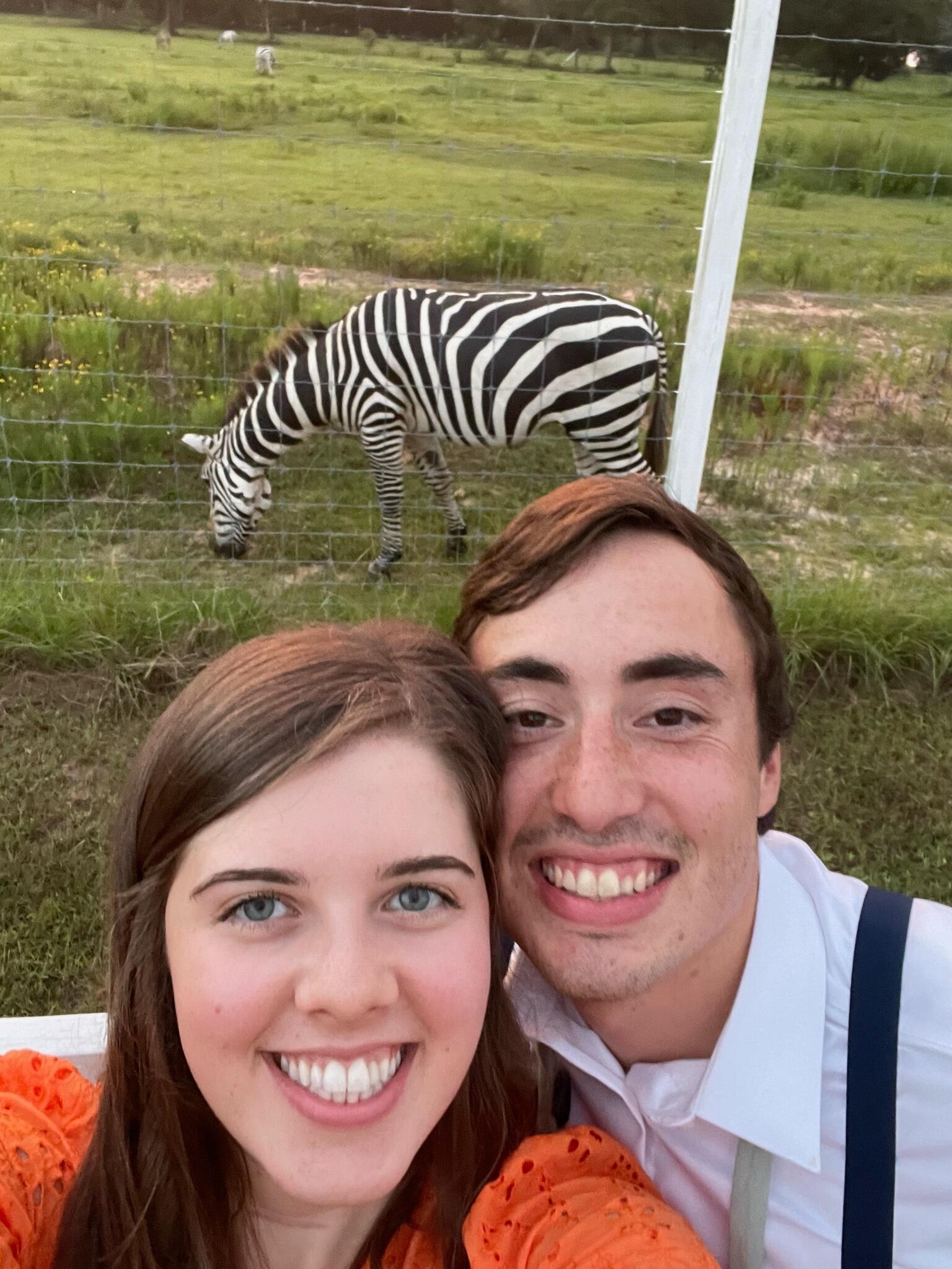 Wedding Season with Zebra