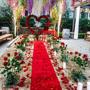 Gallery Photo 37