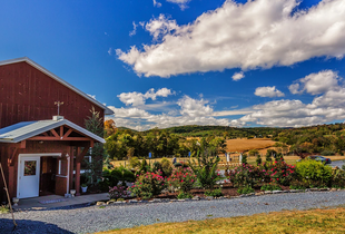 Decor in Harrisonburg, VA - The Knot