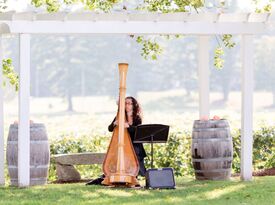 Emilia Pepen, Pepen Studios - Harpist - Cape Neddick, ME - Hero Gallery 1