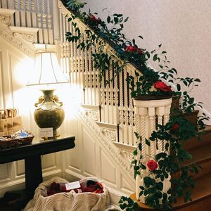 Gallery Photo 31