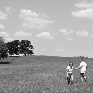 Gallery Photo 3