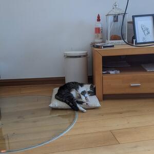 Gallery Photo 10