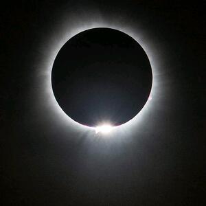 Gallery Photo 46