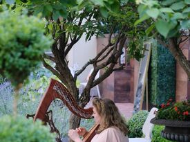 Paula Fagerberg, Harpist - Harpist - Alpharetta, GA - Hero Gallery 3