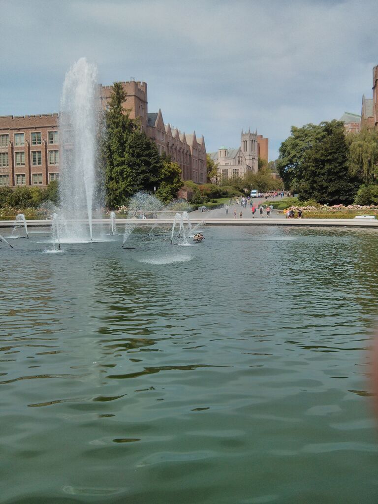 Tori and Joe meet at the University of Washington, Seattle in the Fall of 2013. Pictured here is Drumheller Fountain on the UW campus. 