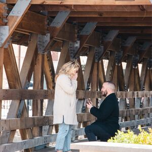 Gallery Photo 44