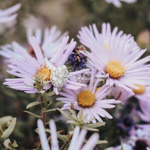 Gallery Photo 49