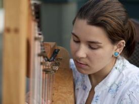 Halley the Harper - Harpist - Lancaster, PA - Hero Gallery 3