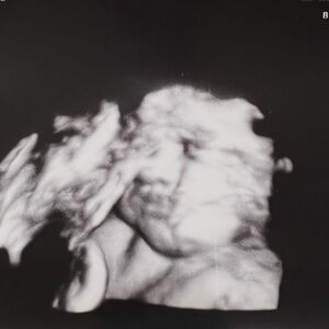 Gallery Photo 31