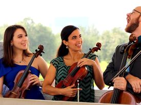 River Oaks String Quartet - String Quartet - Houston, TX - Hero Gallery 2