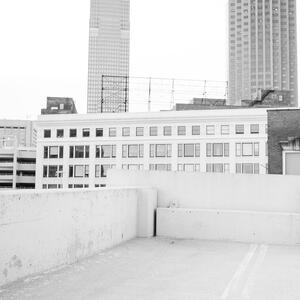Gallery Photo 12