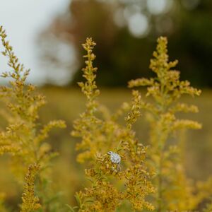 Gallery Photo 34