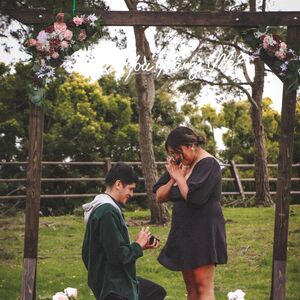 Gallery Photo 34