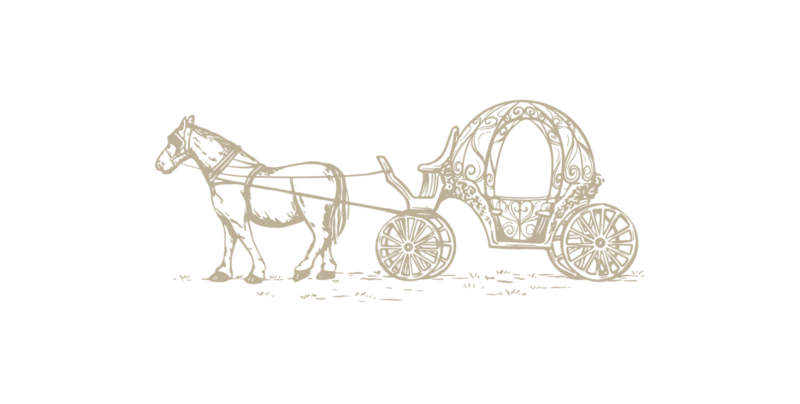 Top Theme Image