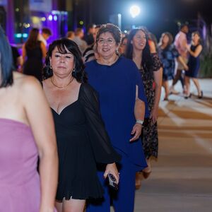 Gallery Photo 216