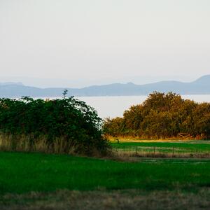 Gallery Photo 1