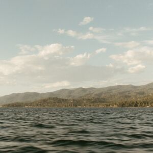 Gallery Photo 6