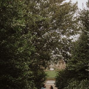 Gallery Photo 38