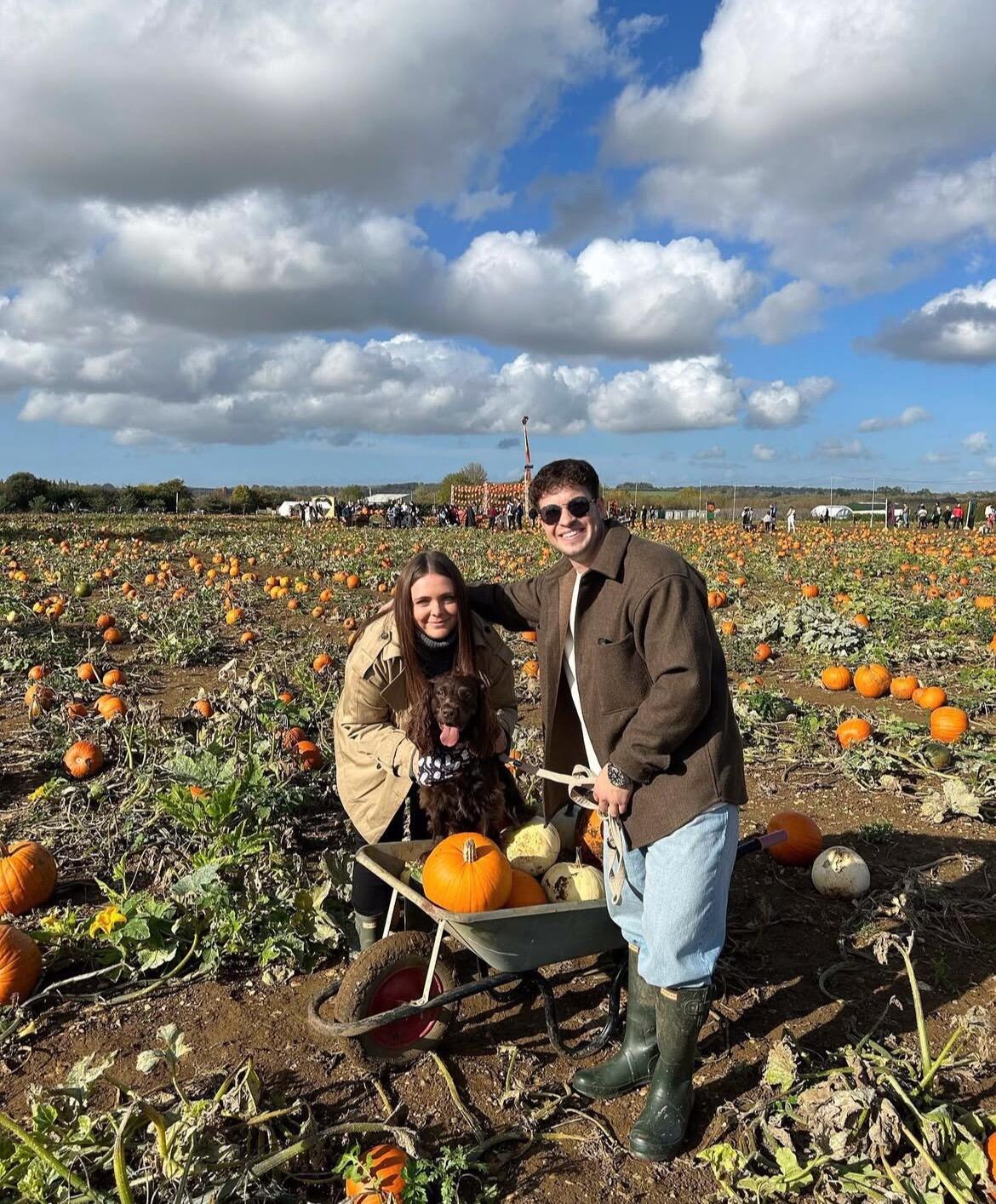 AVON VALLEY PUMPKIN PATCH