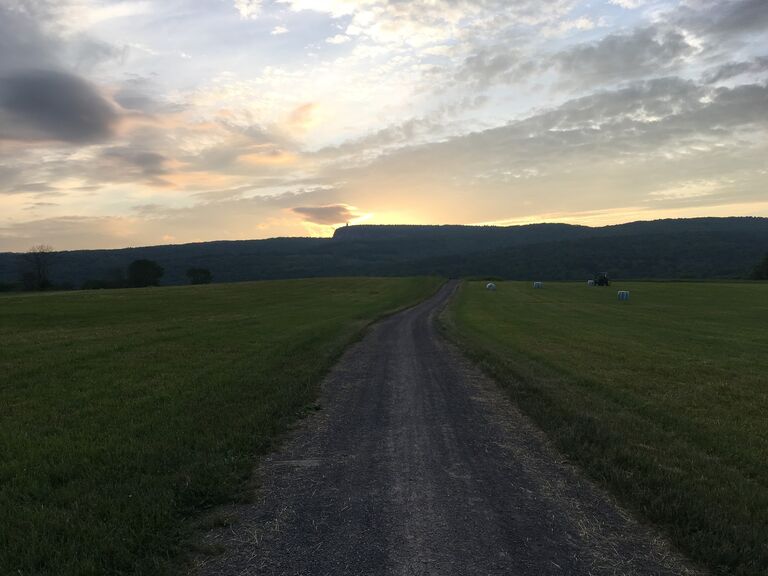 Another one of our favorite spots in New Paltz is the River to Ridge trail. We've walked this trail a million times and it never gets old. 