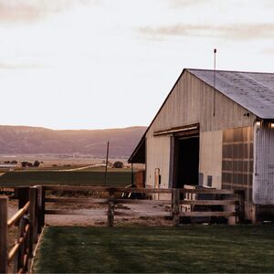 Gallery Photo 12