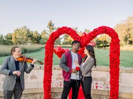 Vox Chordae - Violinist - Anaheim, CA - Hero Gallery 3