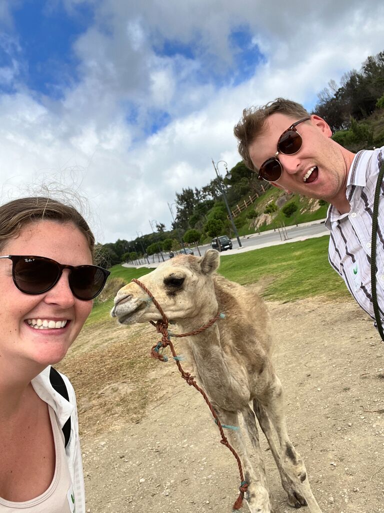 Even though the trip there was a doozy, seeing Camels in Tangier, Morocco made it all worth it! 