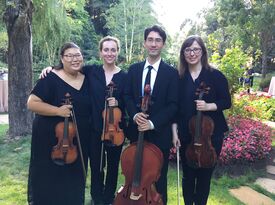 Accordia Music - String Quartet - San Francisco, CA - Hero Gallery 4
