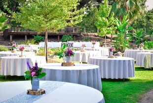 Stone Mill Inn  Reception Venues - The Knot