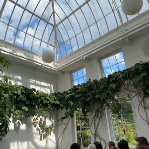 Gallery Photo 3