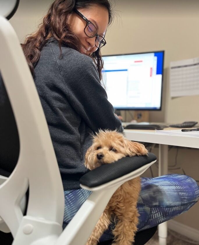 Typical day working from home together!