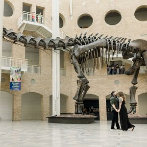 Gallery Photo 8
