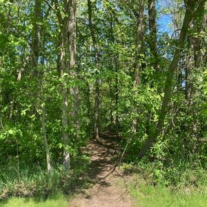 Gallery Photo 53