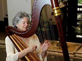 De Luna - Harpist - Saint Augustine, FL - Hero Gallery 2