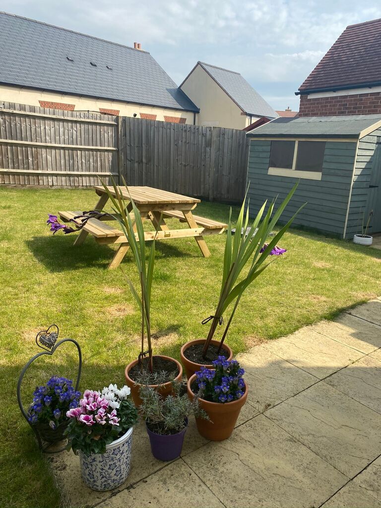 Moved into our first house in Bicester