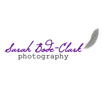 Sarah Bode-Clark Photography - Photographer - Brooklyn, NY - Hero Main