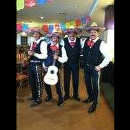mariachi alegre de tucson az, profile image