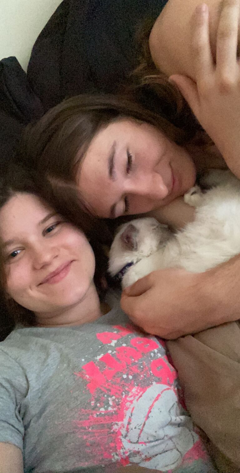 Got Our First cat Momo