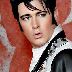 Steve*ELVIS*Gold     50’s/60’s/70’s Tribute, profile image